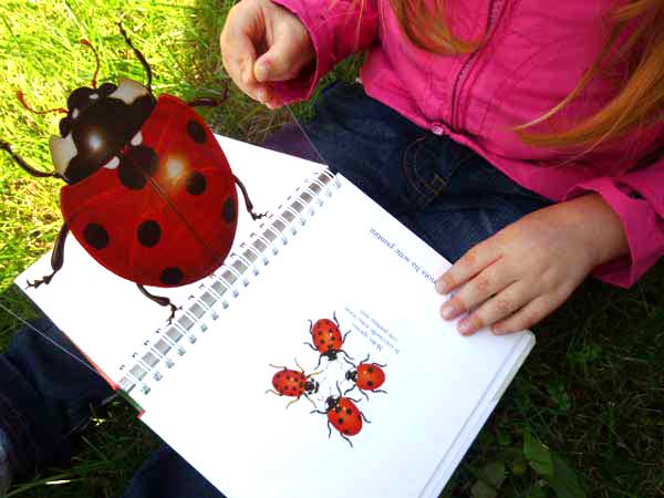 Libri sugli animali per bambini di 0-3 anni