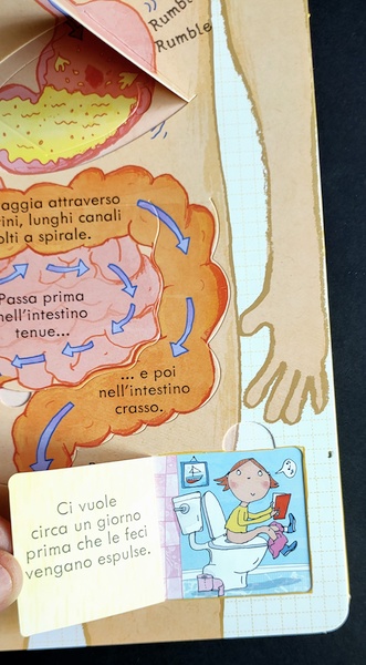 Il Corpo Umano Due Libri Ricchi Di Curiosita E Scoperte Da Condividere